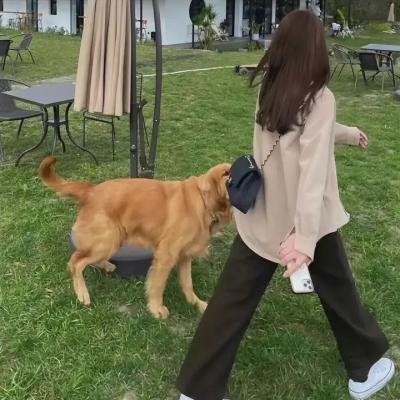 印第安人2